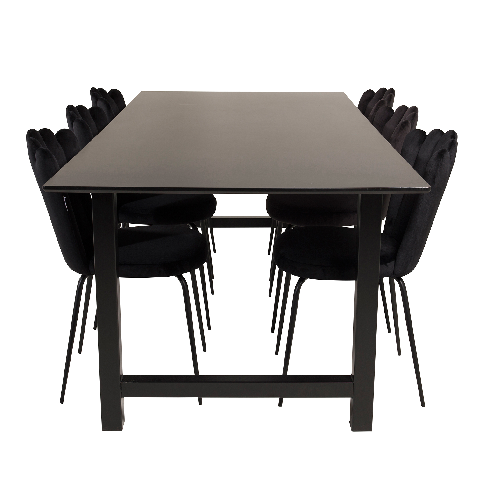 Matgrupp furniture/fashion Clara med 6 Limhamn Light Stolar