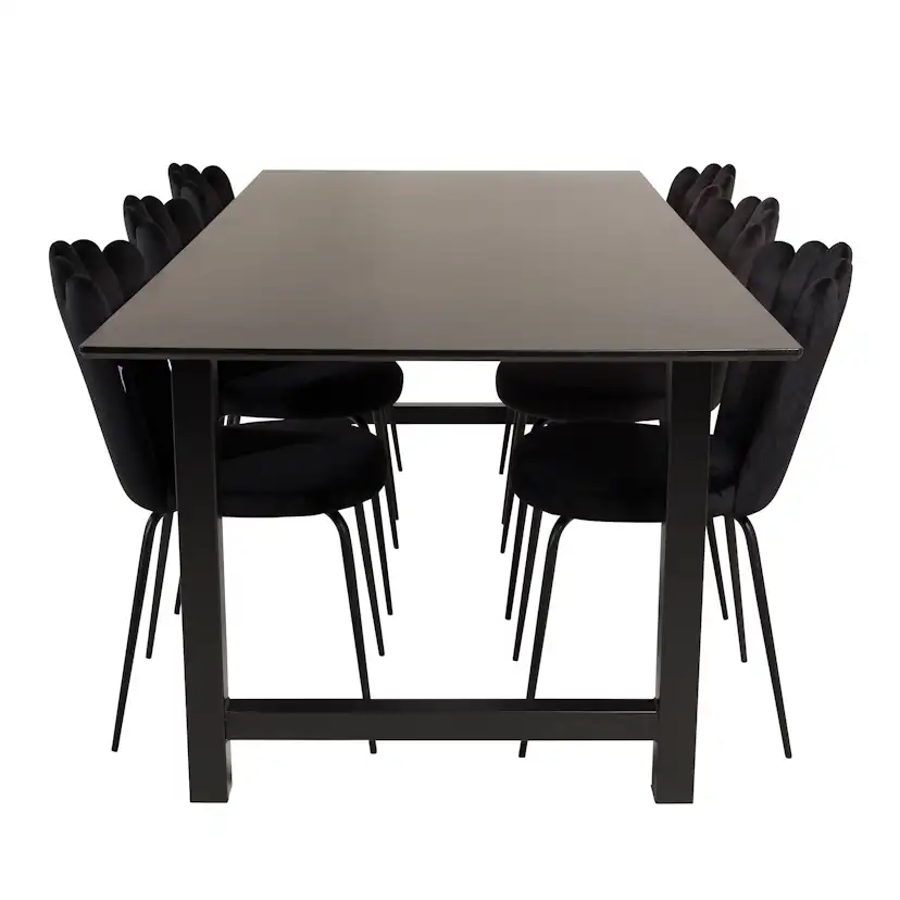 Matgrupp furniture/fashion Clara med 6 Limhamn Light Stolar