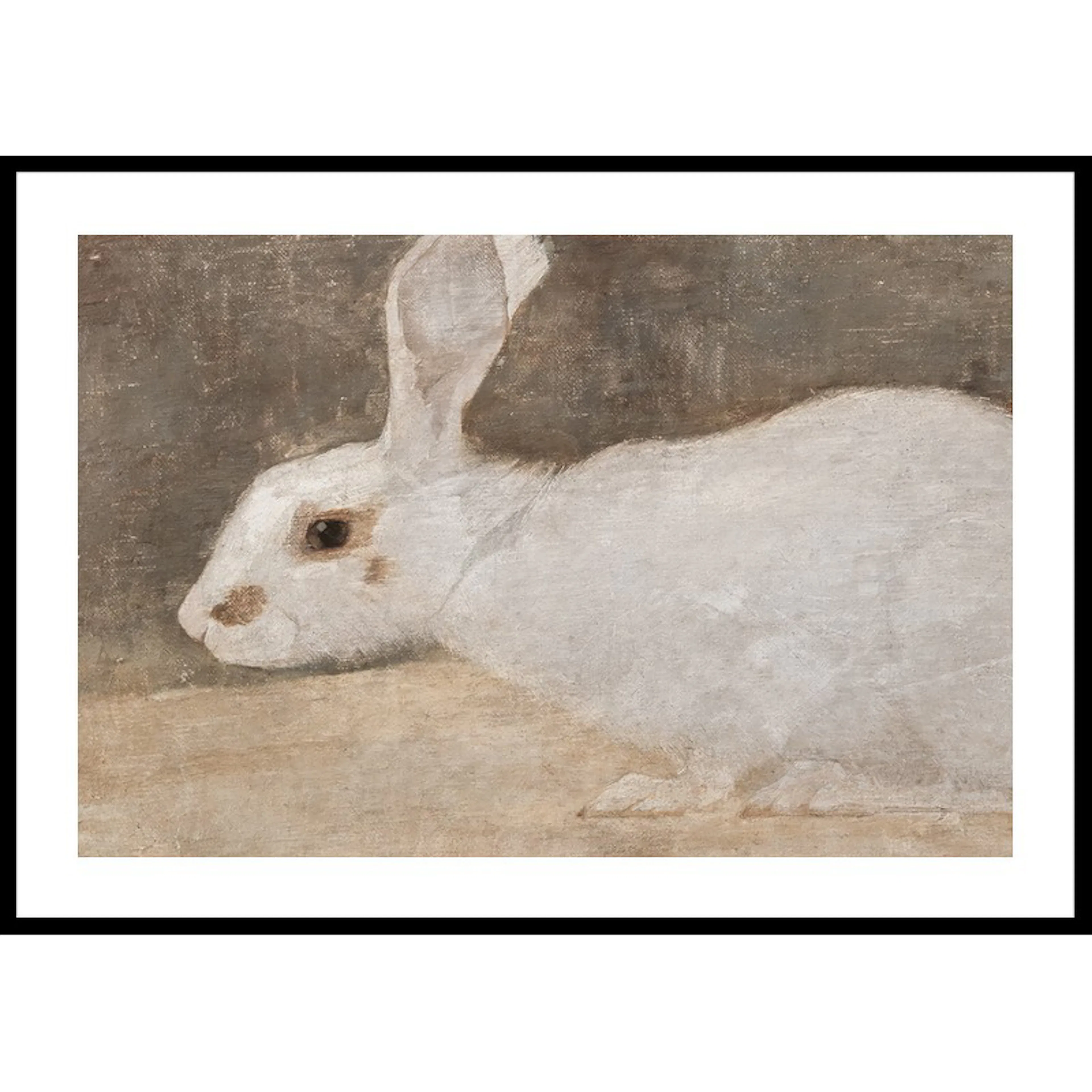 Witte Konijn By Jan Mankes 30x40 30x40 cm