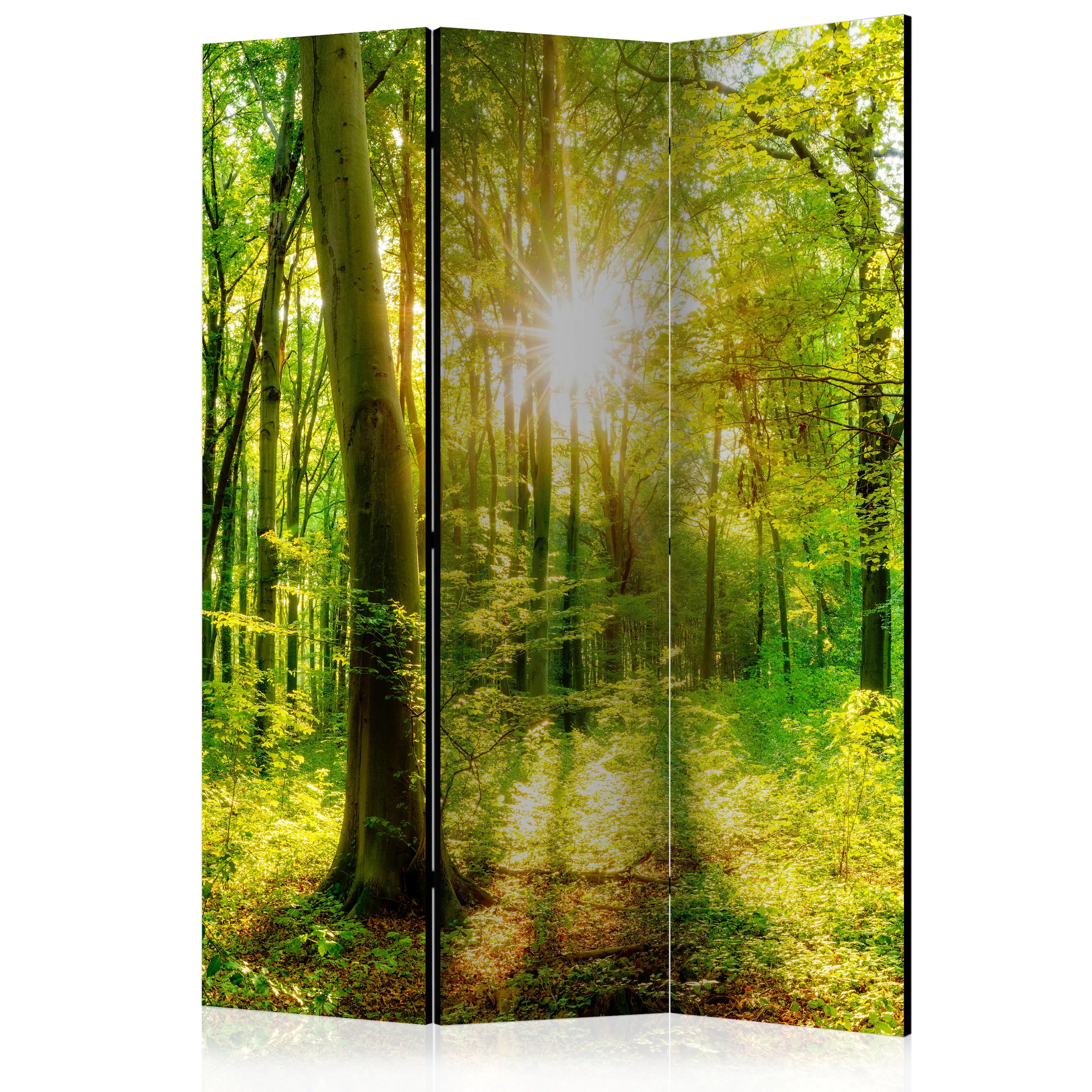 Rumsavdelare Arkiio Forest Rays 135x172 cm