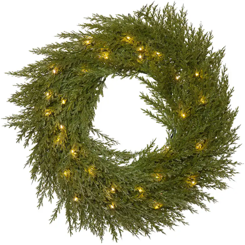 Krans Star Trading Thuja 45 cm 30L bo