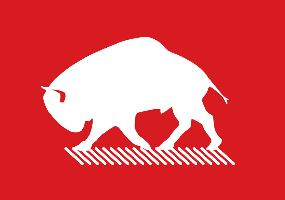 Bison