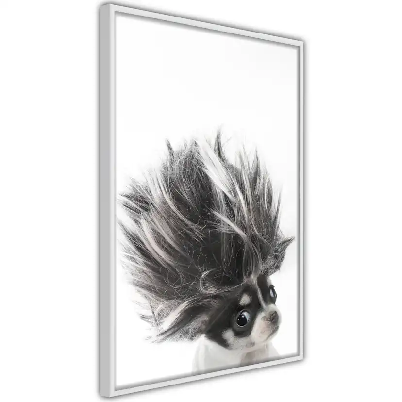 Poster Artgeist Affisch Chihuahua