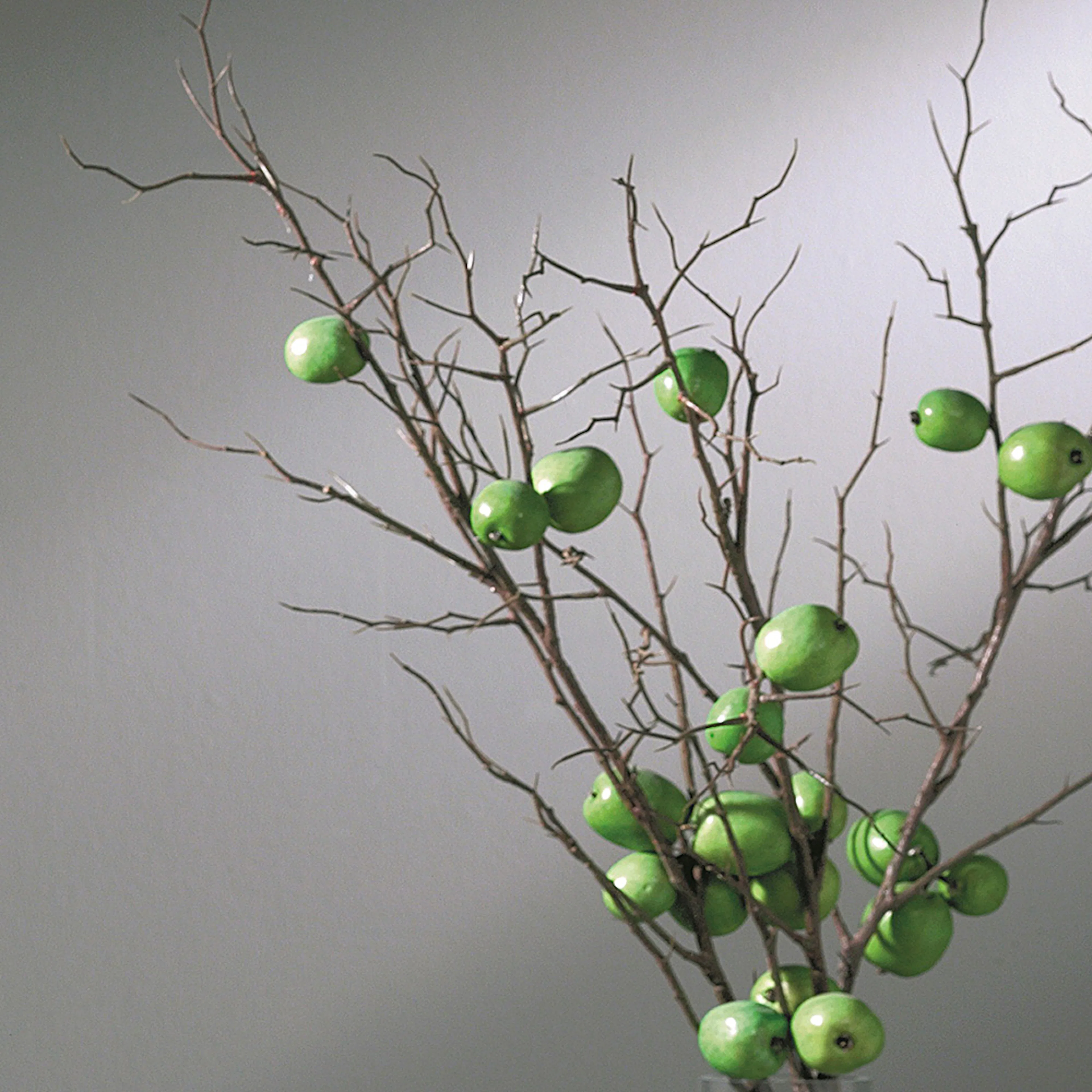 Glasbyte Swedoor Sido-/Överljus