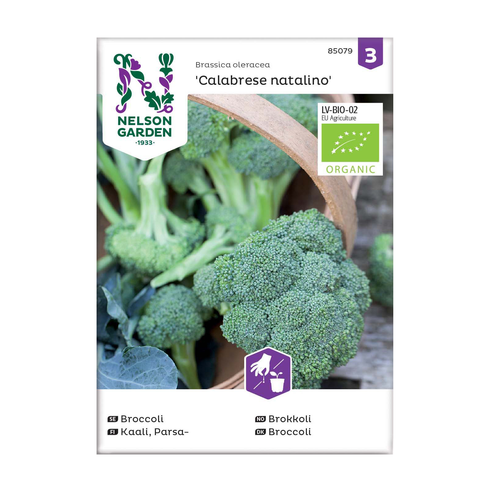 Frö Broccoli Nelson Garden Calabrese natalino Organic