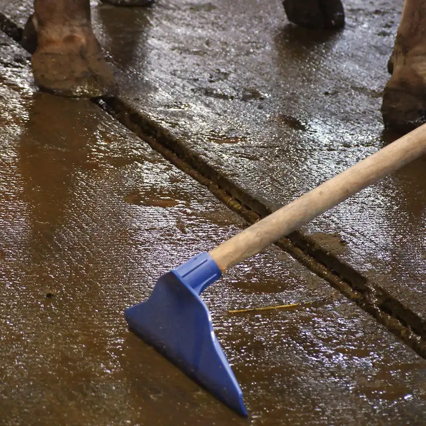 Gödselskrapa Gewa PP blå