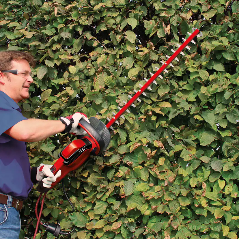 Häcksax Einhell GC-EH 6055/1 Teleskop