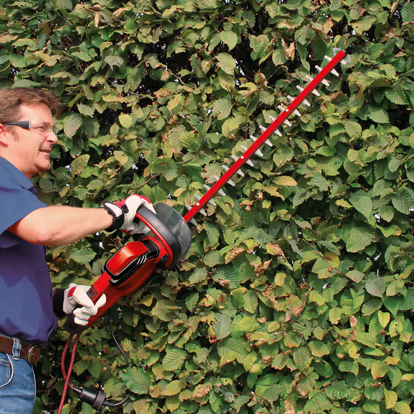 Häcksax Einhell GC-EH 6055/1 Teleskop