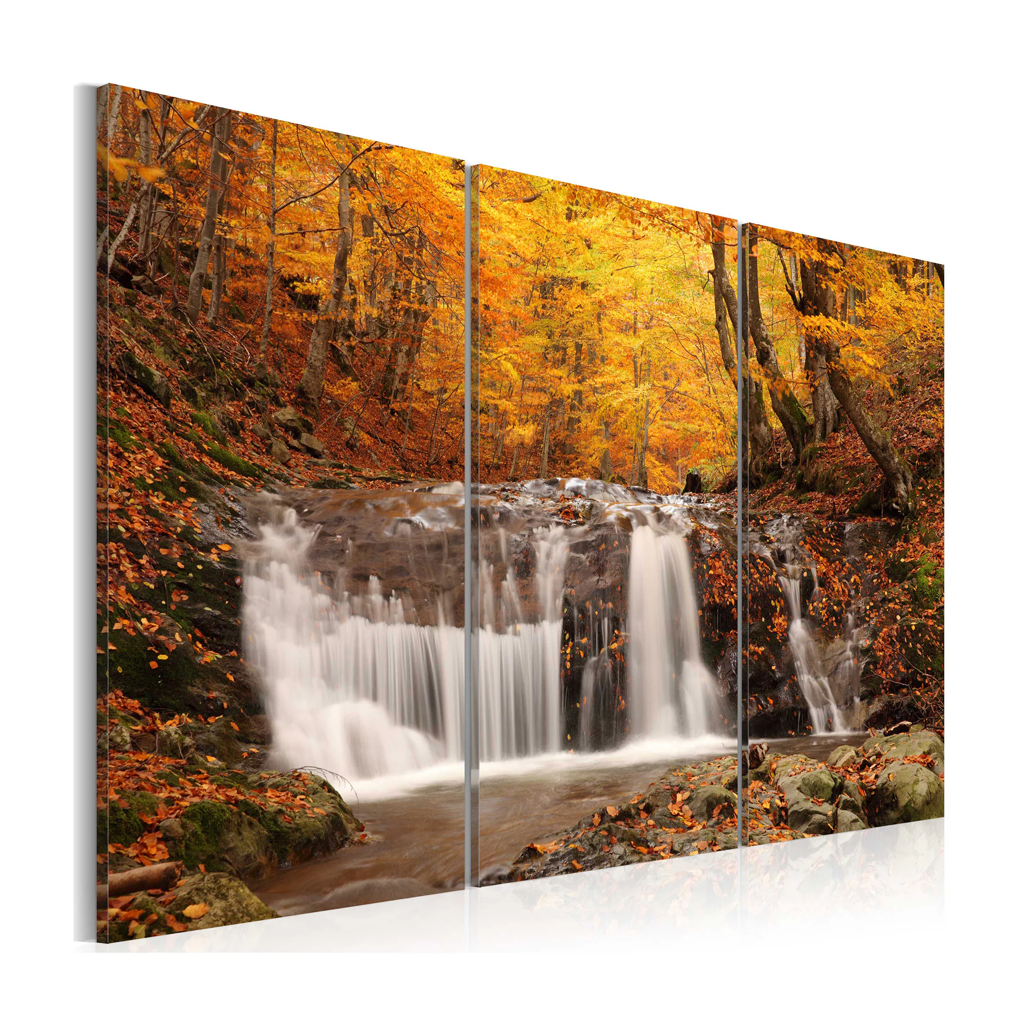 Tavla Arkiio A Waterfall In The Middle Of Fall Trees