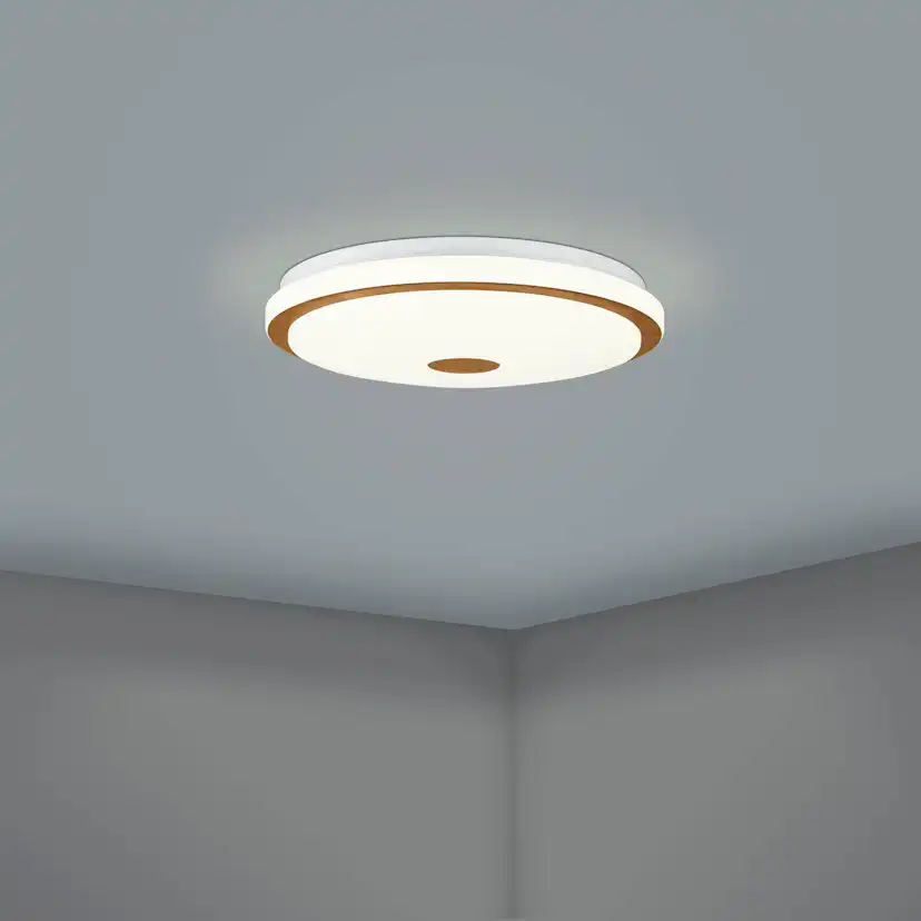Taklampa Eglo Lanciano 1