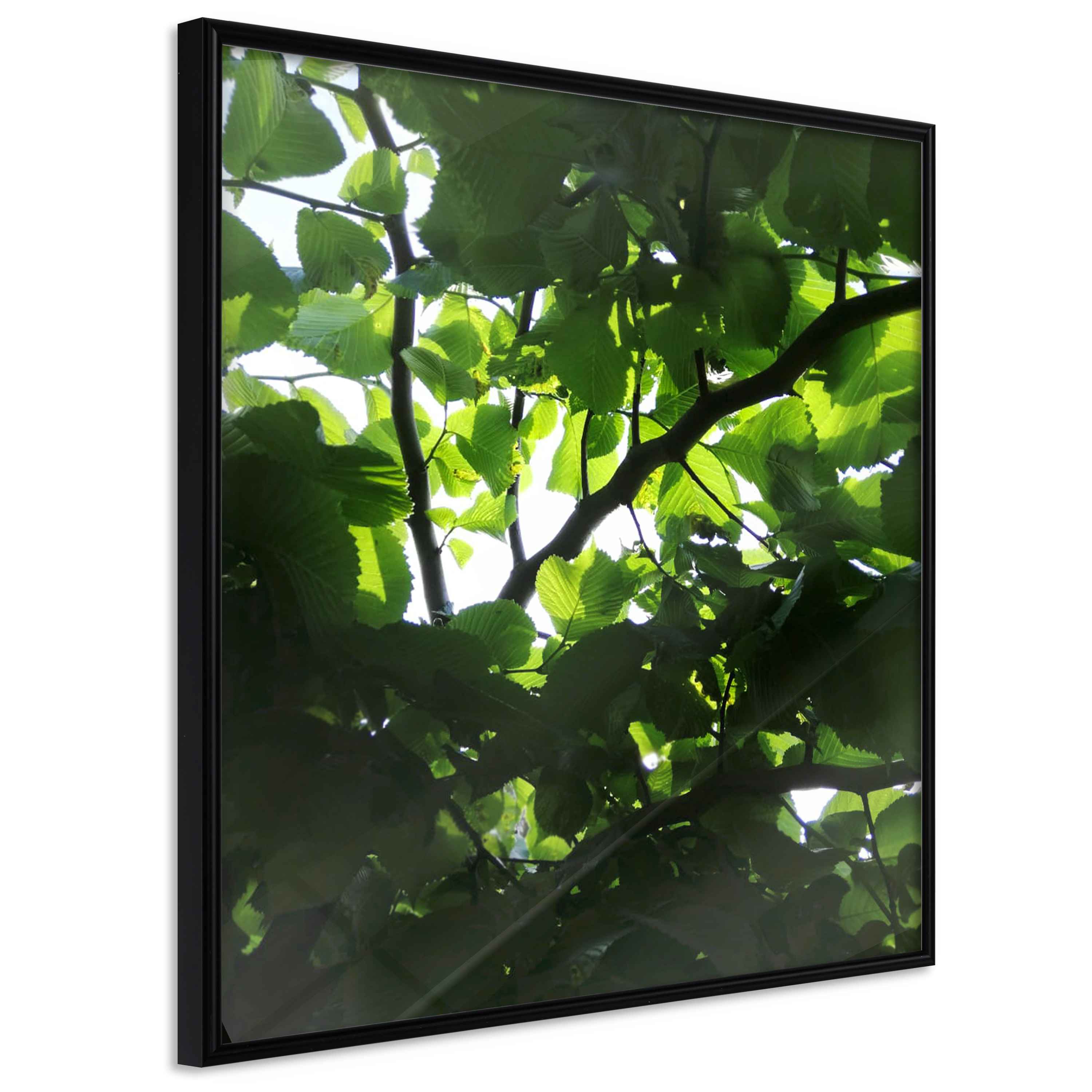 Affisch - Dawn [Poster] 30x30 Svart ram, 30x30 cm