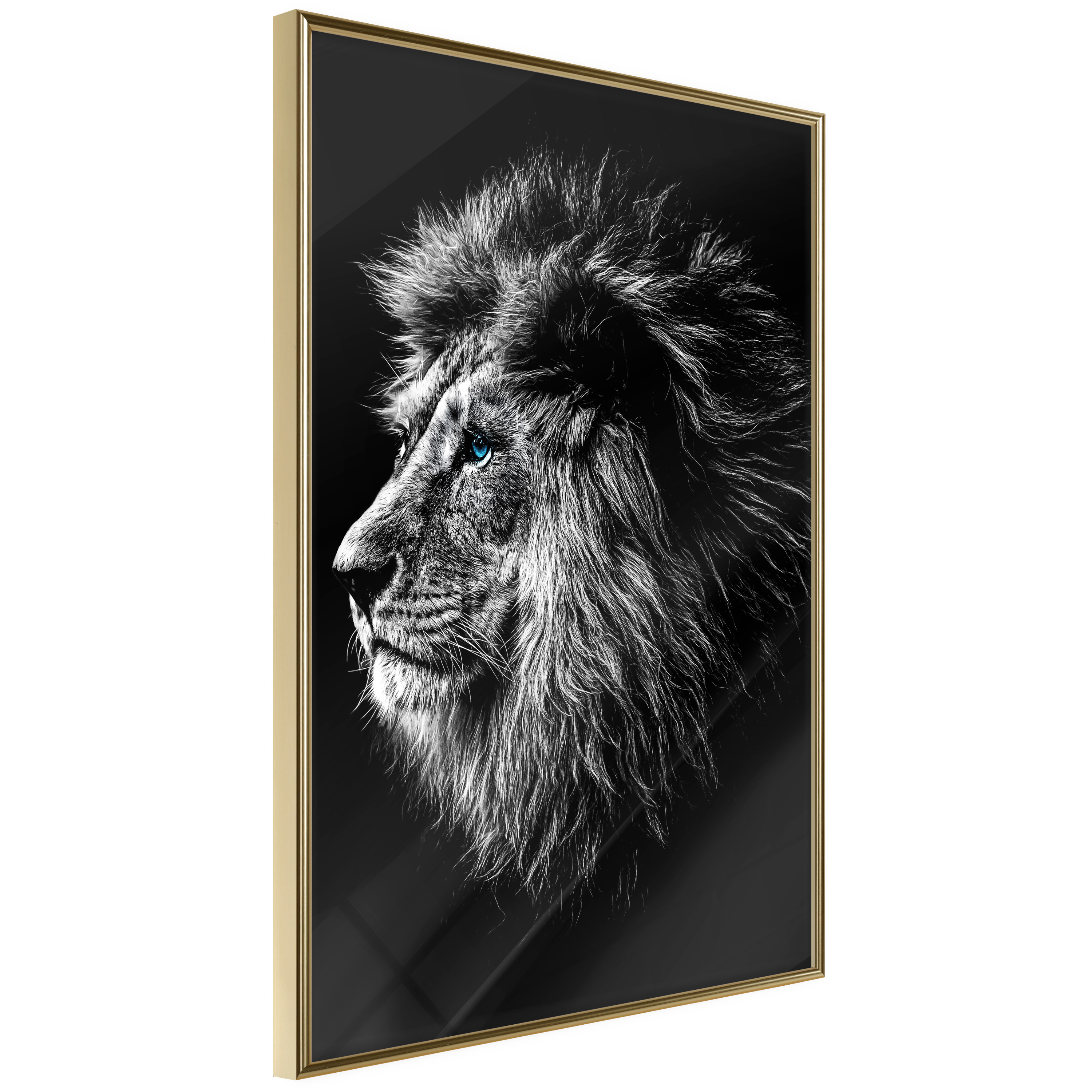 Poster Artgeist Affisch Blue-eyed Lion
