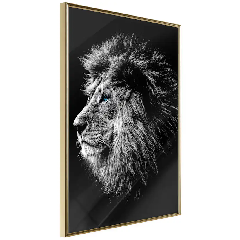Poster Artgeist Affisch Blue-eyed Lion