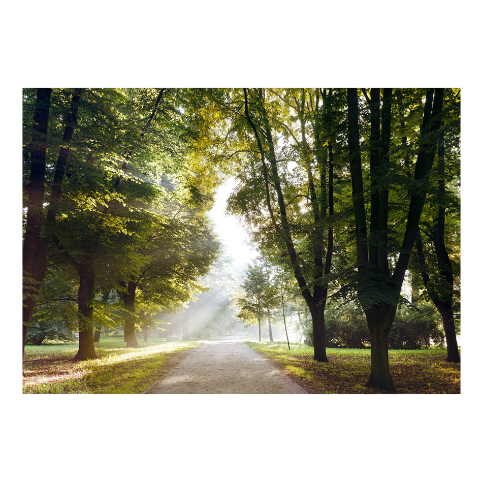 Fototapet Arkiio Morning Walk