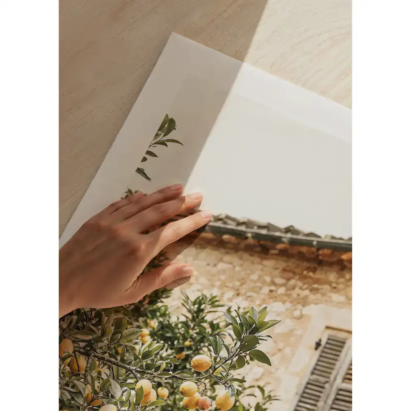 Poster Gallerix Lemon Grove Serenade