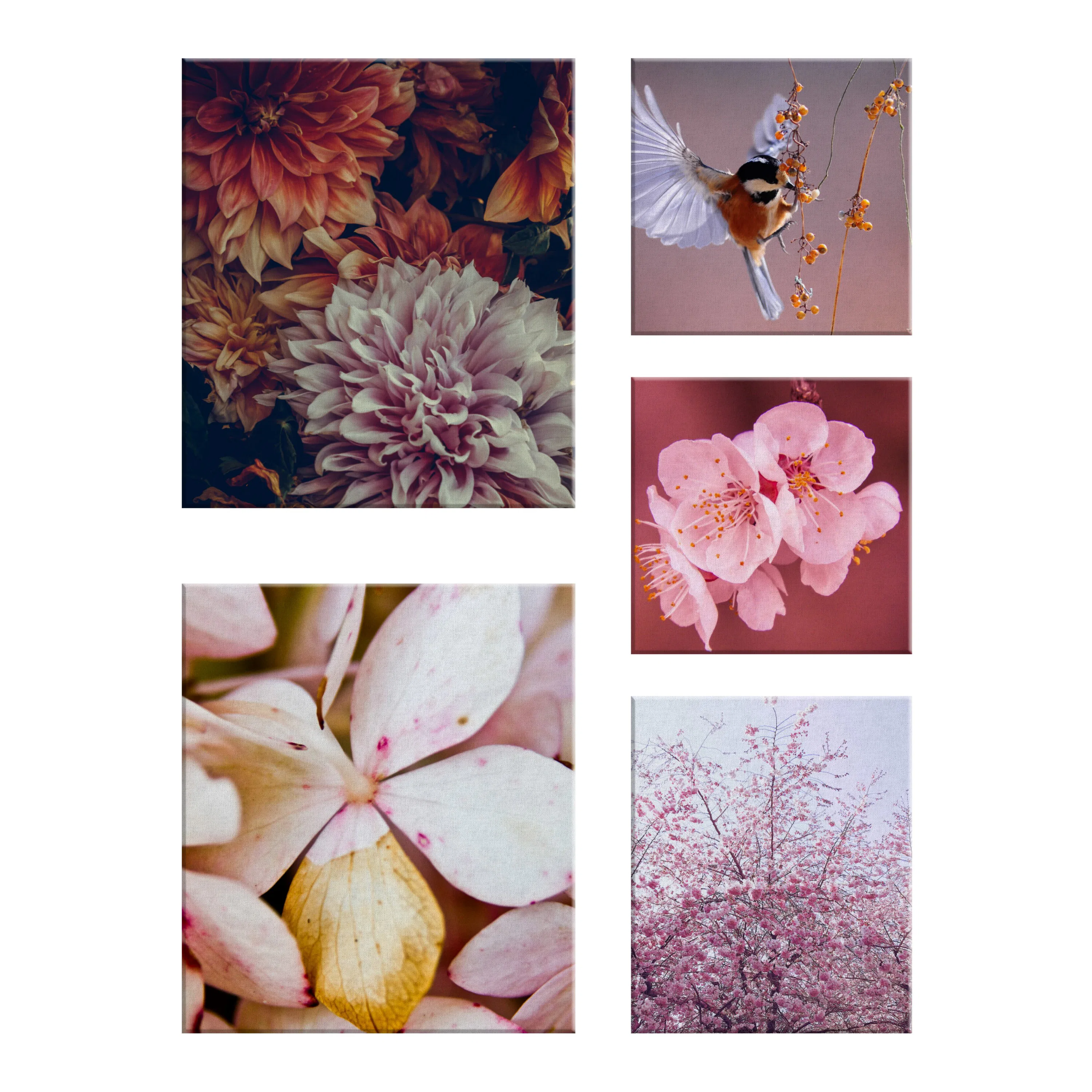 Canvastavla Art For The Home Set av 5 Soft Temptation Ett hav av Blommor 80x60cm