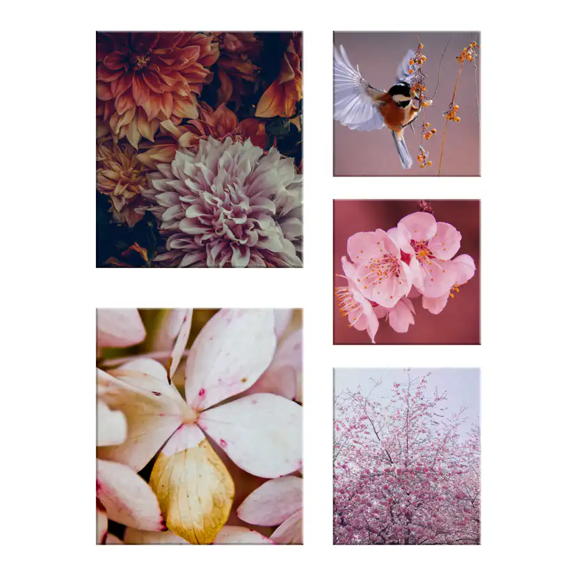 Canvastavla Art For The Home Set av 5 Soft Temptation Ett hav av Blommor 80x60cm