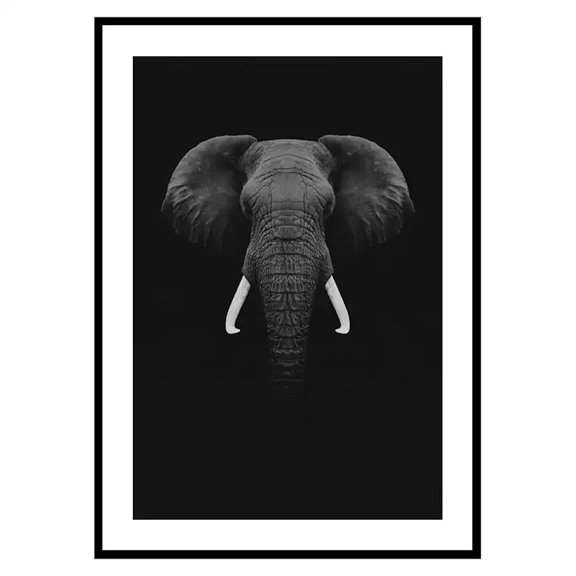 Poster Gallerix Black Elephant