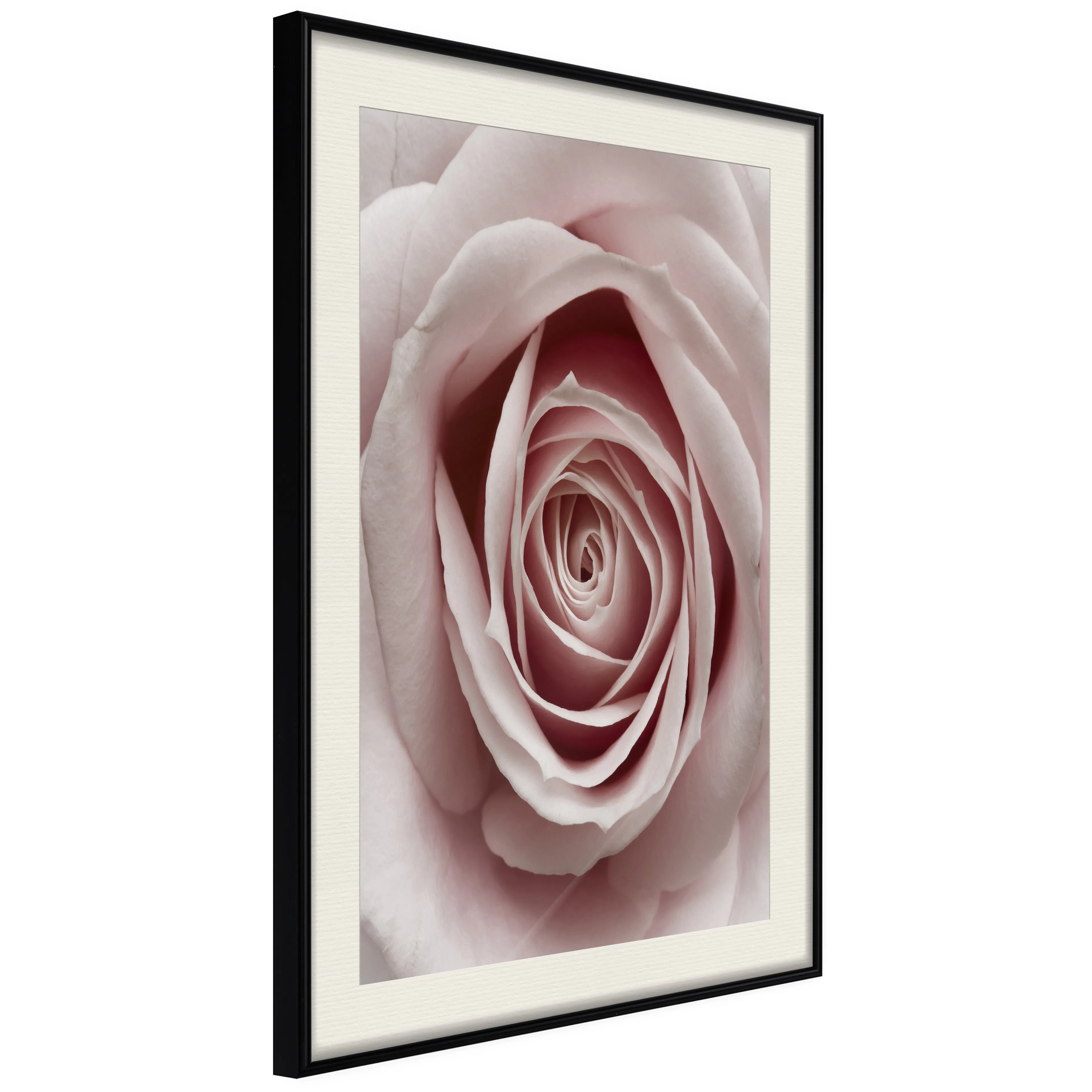 Poster Artgeist Affisch Pastel Rose