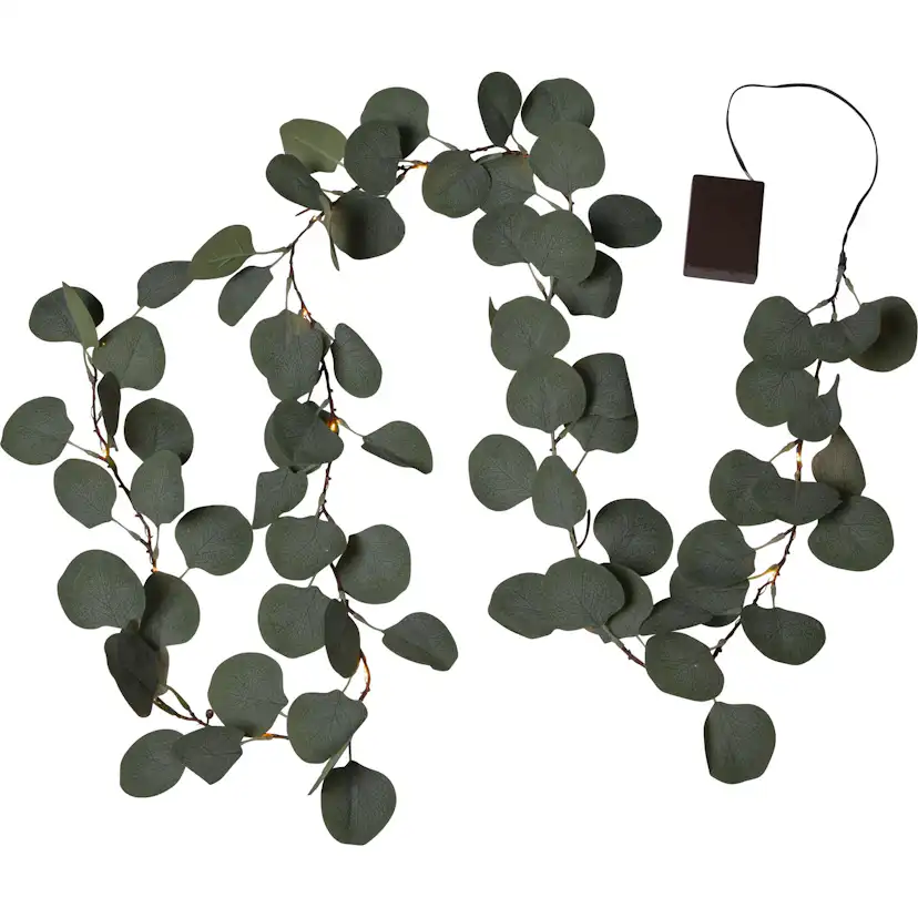 Grangirlang Star Trading Eucalyptus 2 m Battery Indoor
