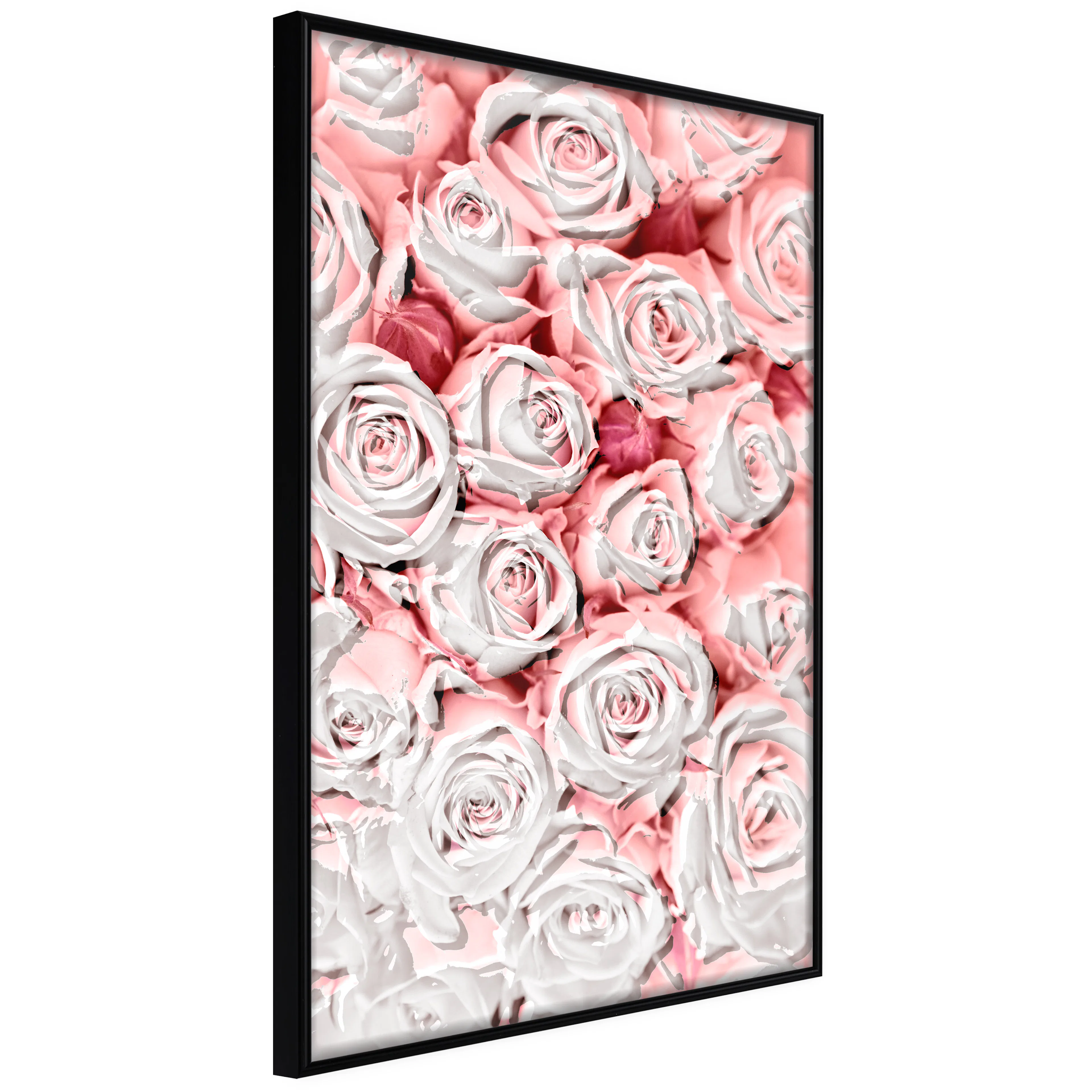 Affisch - White Roses [Poster] 40x60 Svart ram, 40x60 cm