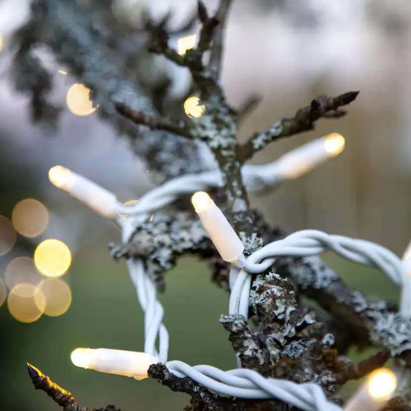 Ljusslinga Star Trading Extra System LED 50L Tillägg