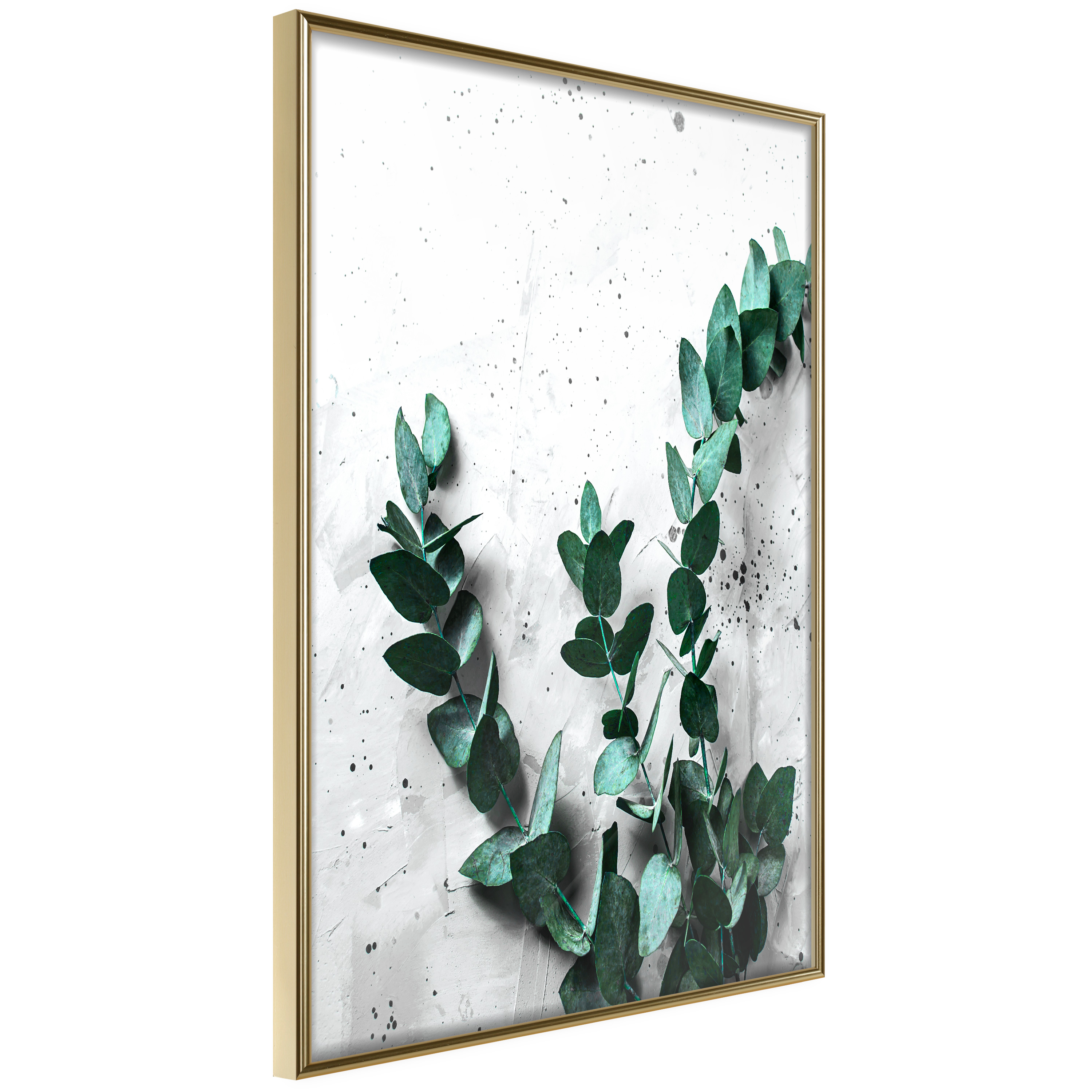 Affisch - Eucalyptus Scent [Poster] 20x30 Guld ram, 20x30 cm