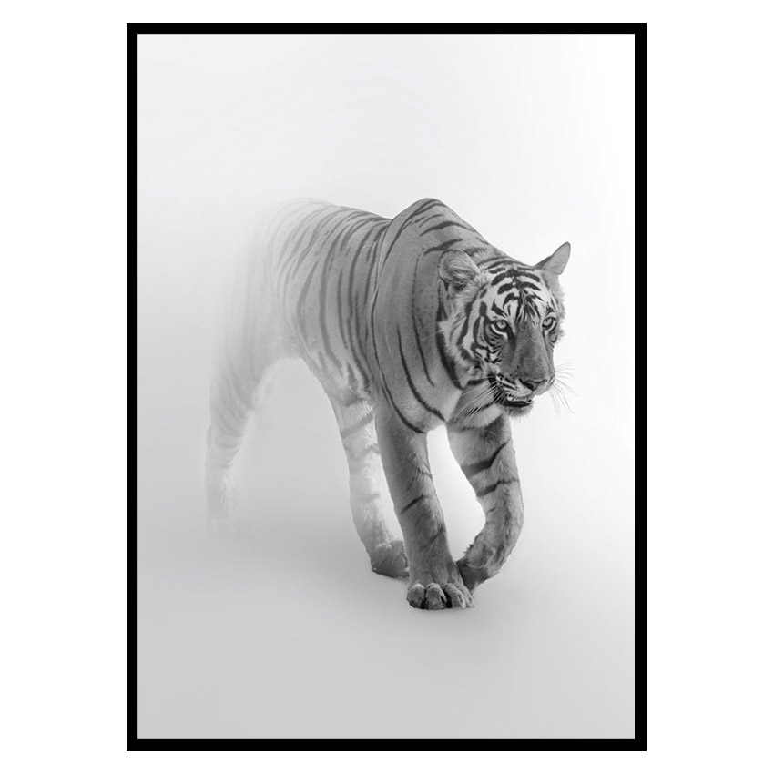 Poster Gallerix Faded Tiger