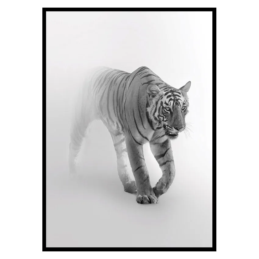 Poster Gallerix Faded Tiger