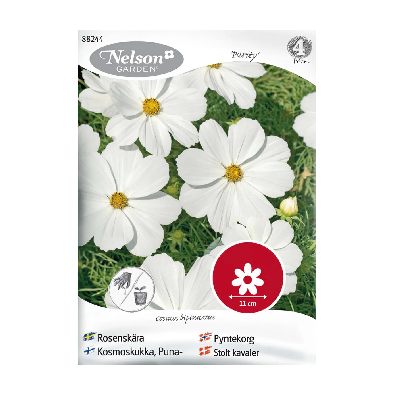 Frö Rosenskära Nelson Garden Purity Vit