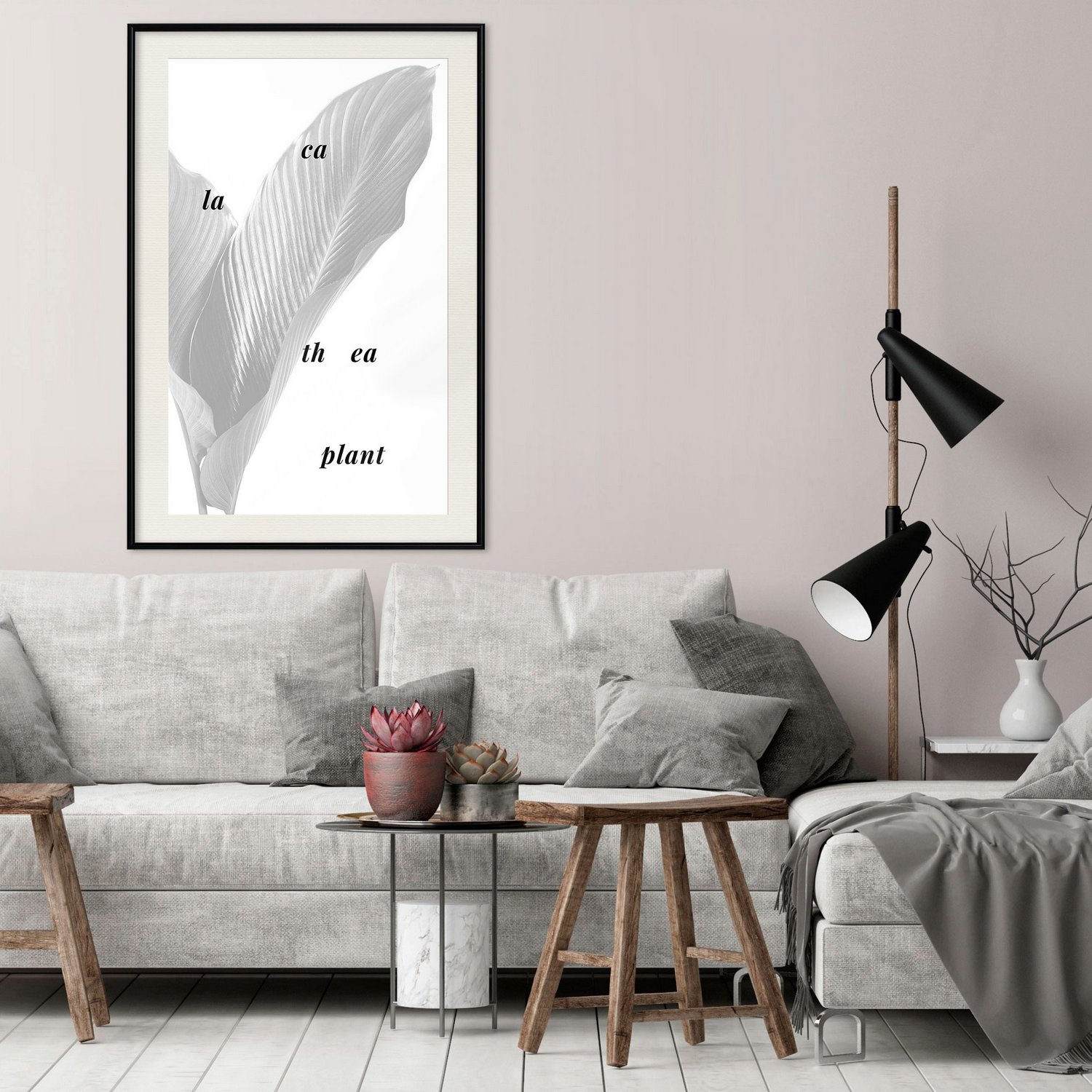 Affisch - Calathea Plant [Poster] 20x30 Svart ram med passepartout, 20x30 cm