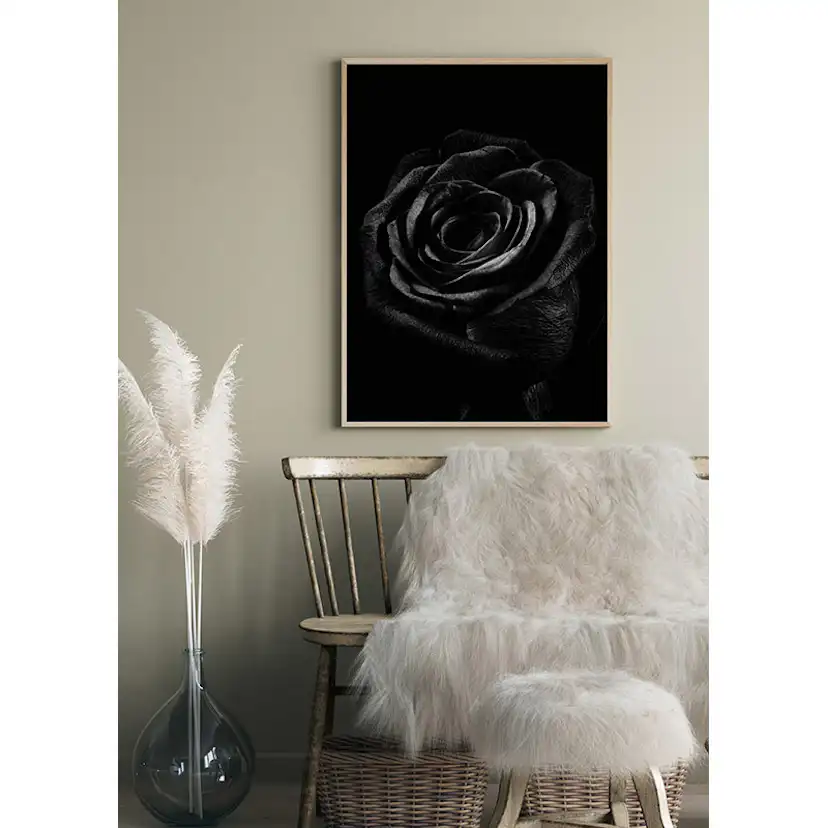 Poster Gallerix Black Rose