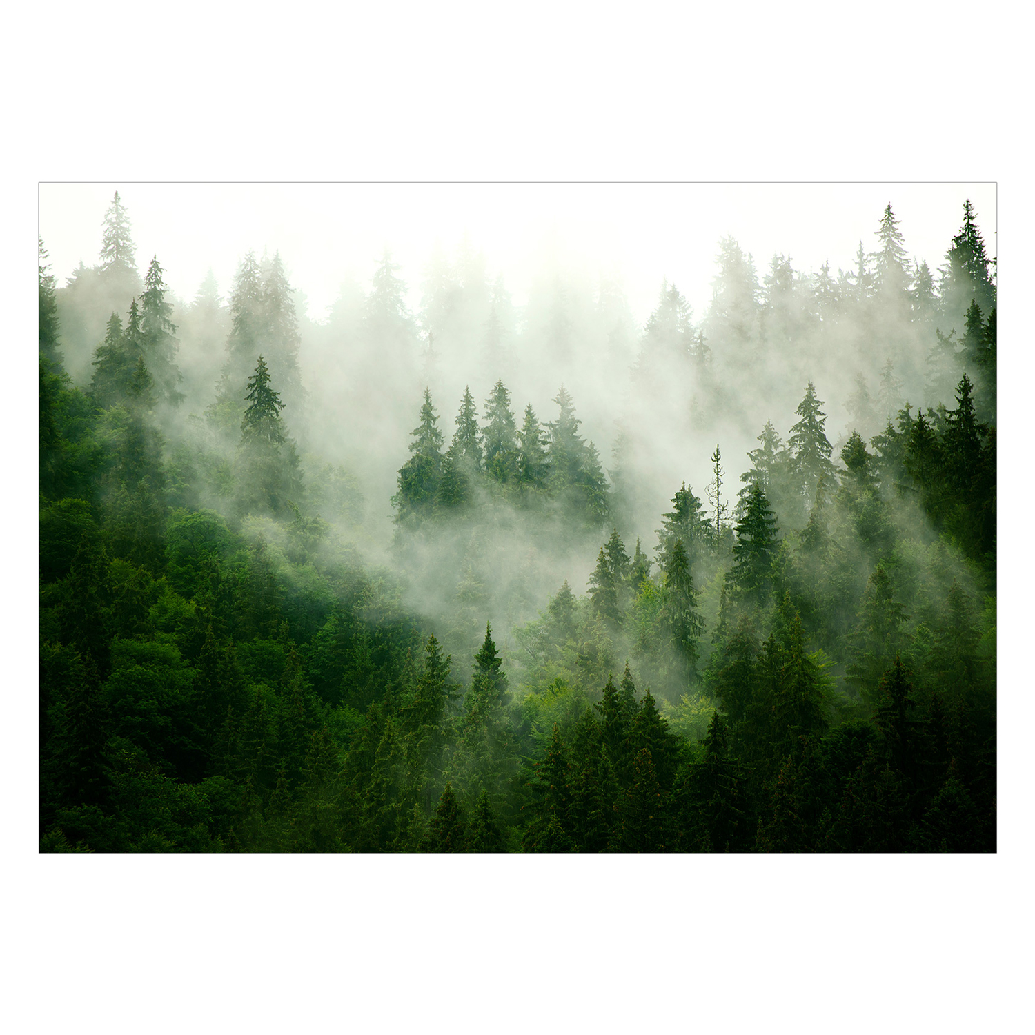 Fototapet Arkiio Mountain Forest (green)