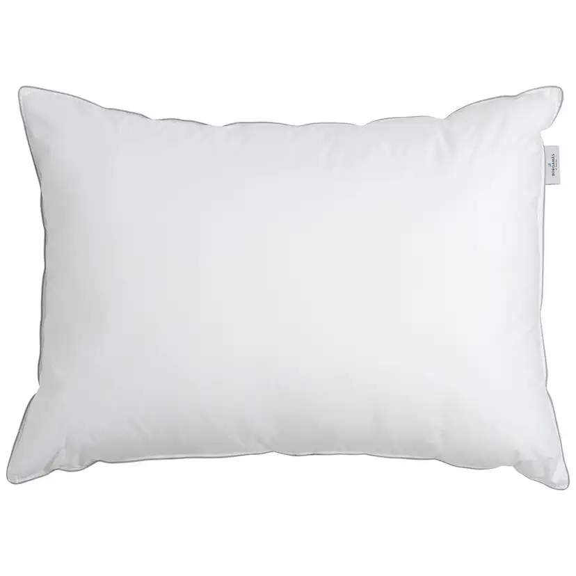 Hotellkudde Borganäs of Sweden