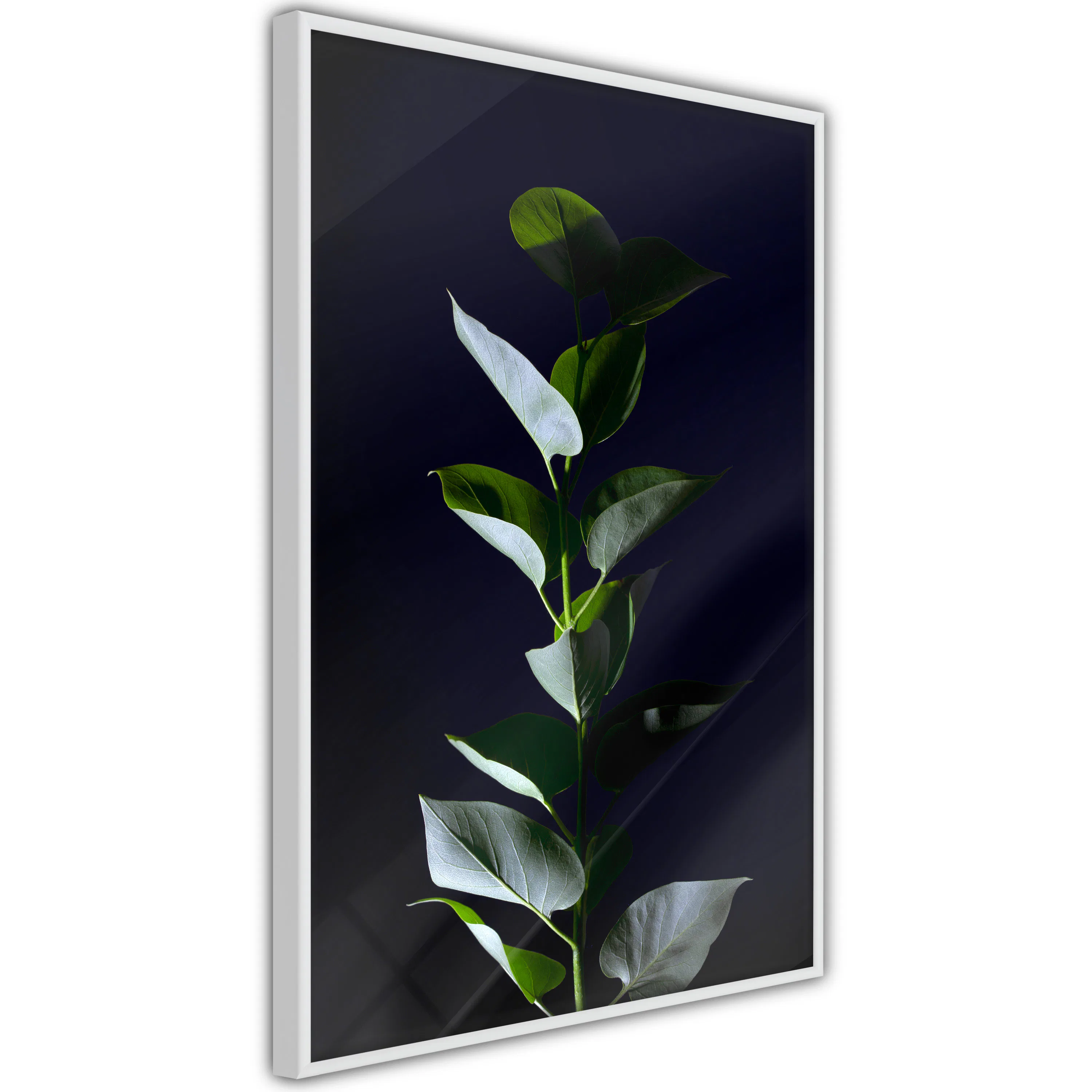 Poster Artgeist Affisch In the Moonlight