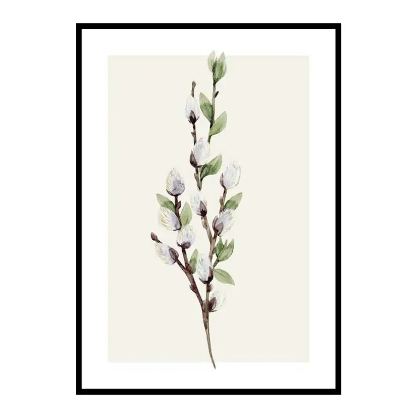 Poster Gallerix Willow Branches