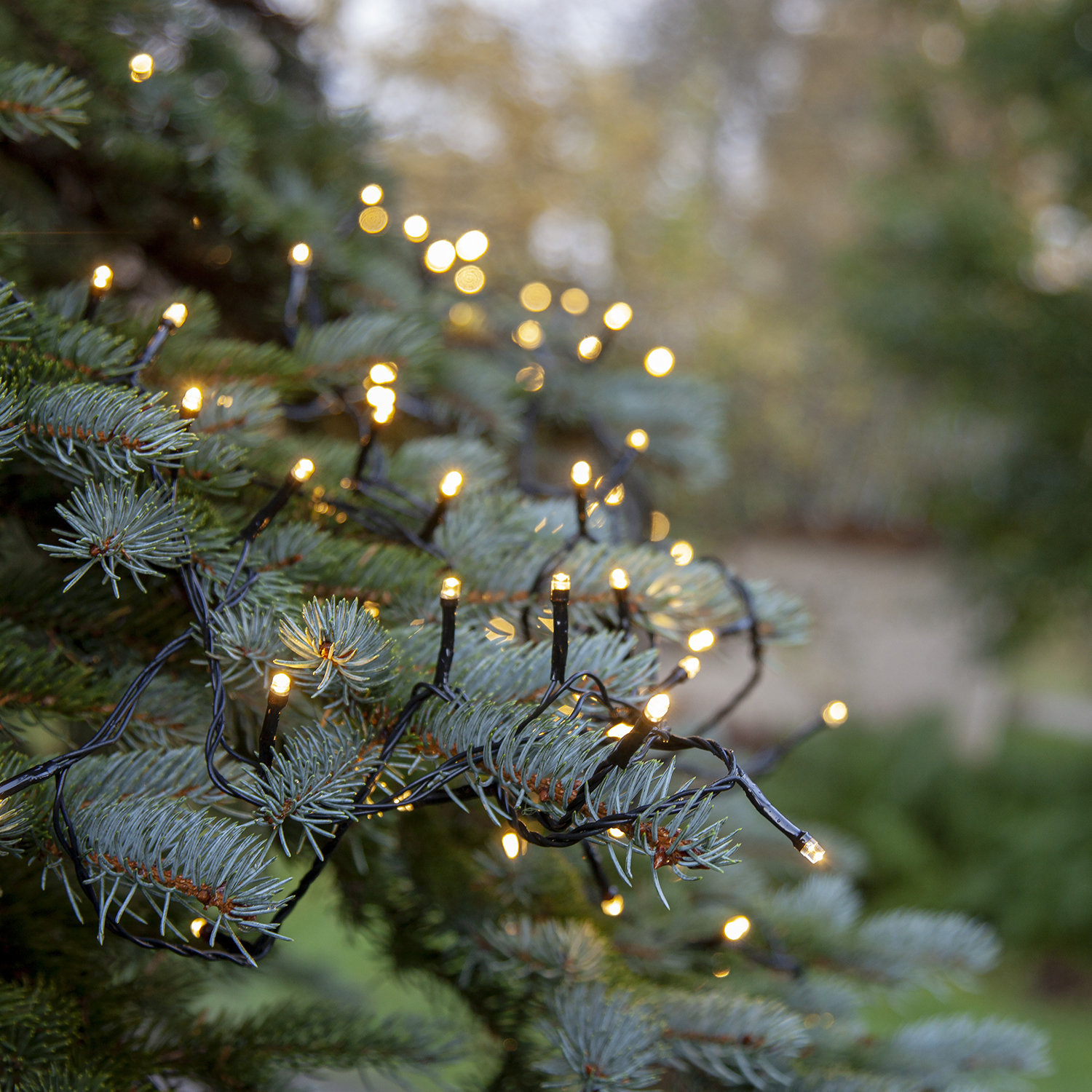 Ljusslinga Star Trading Start System Decor 100L