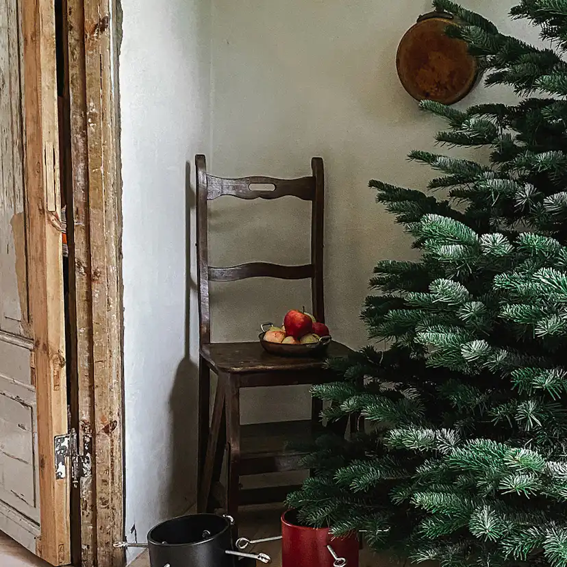 Julgransfot by Benson Stand Star