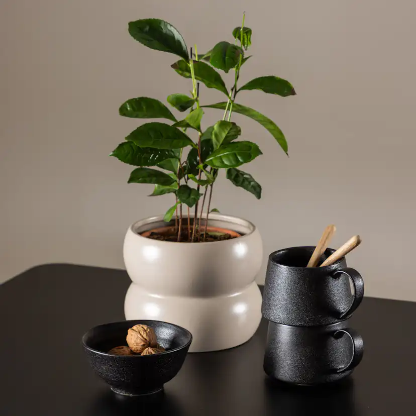 Matgrupp Venture Home Polar 75 med 2 st Polar Stolar Teddy