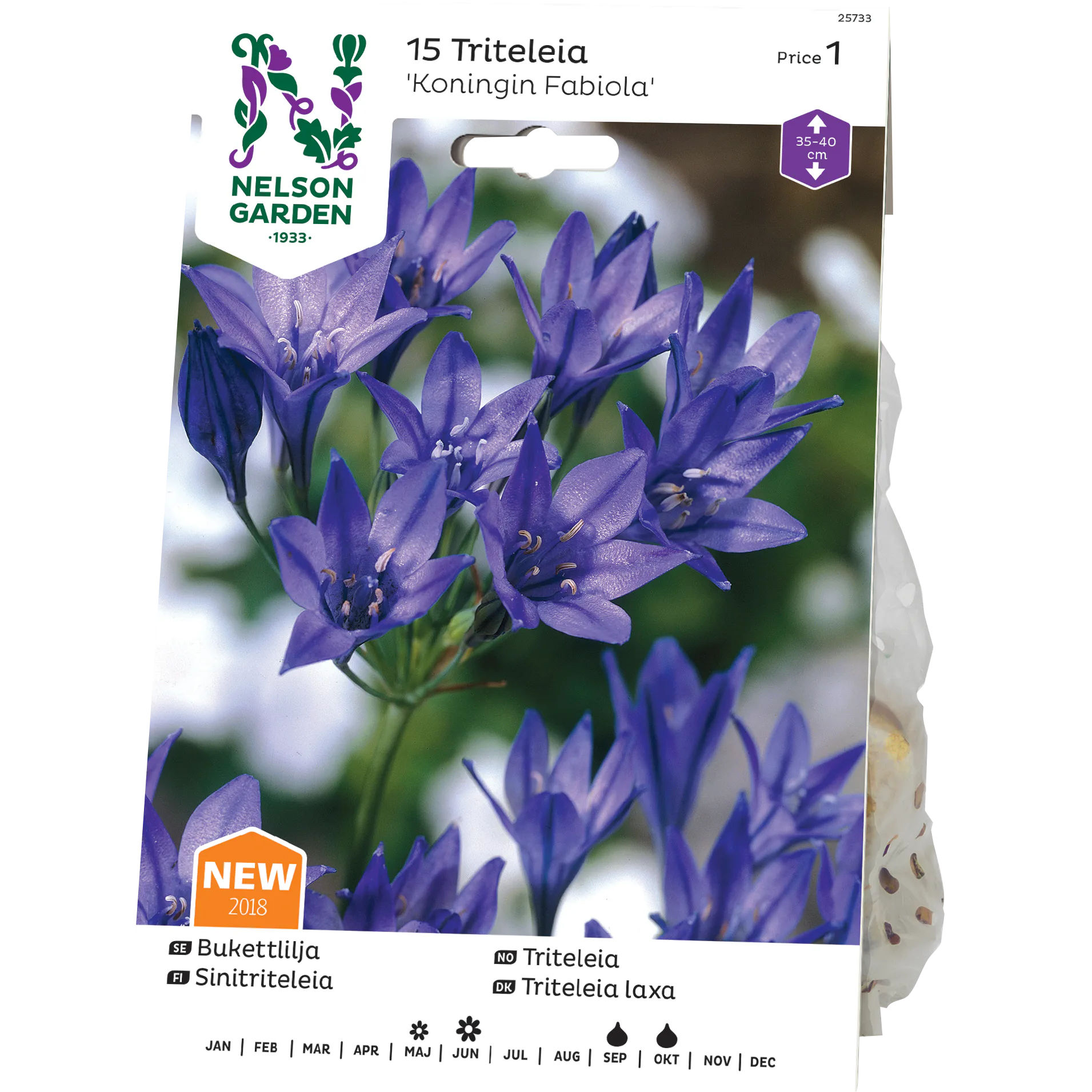 Bukettlilja Nelson Garden Koningin Fabiola