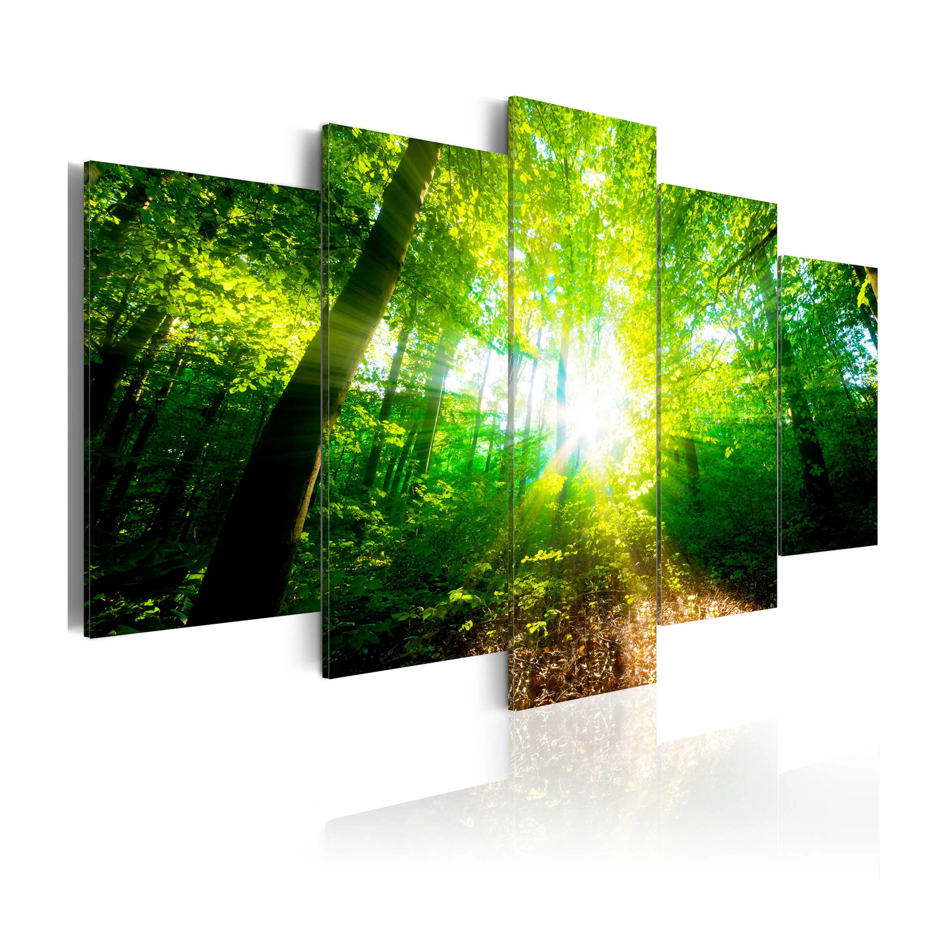 Tavla Arkiio Wonderful Morning