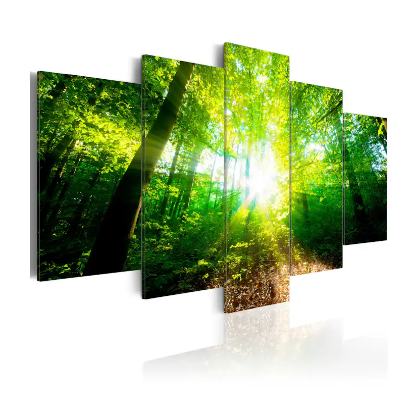 Tavla Arkiio Wonderful Morning