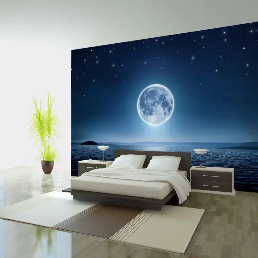 Fototapet Arkiio Moonlit Night