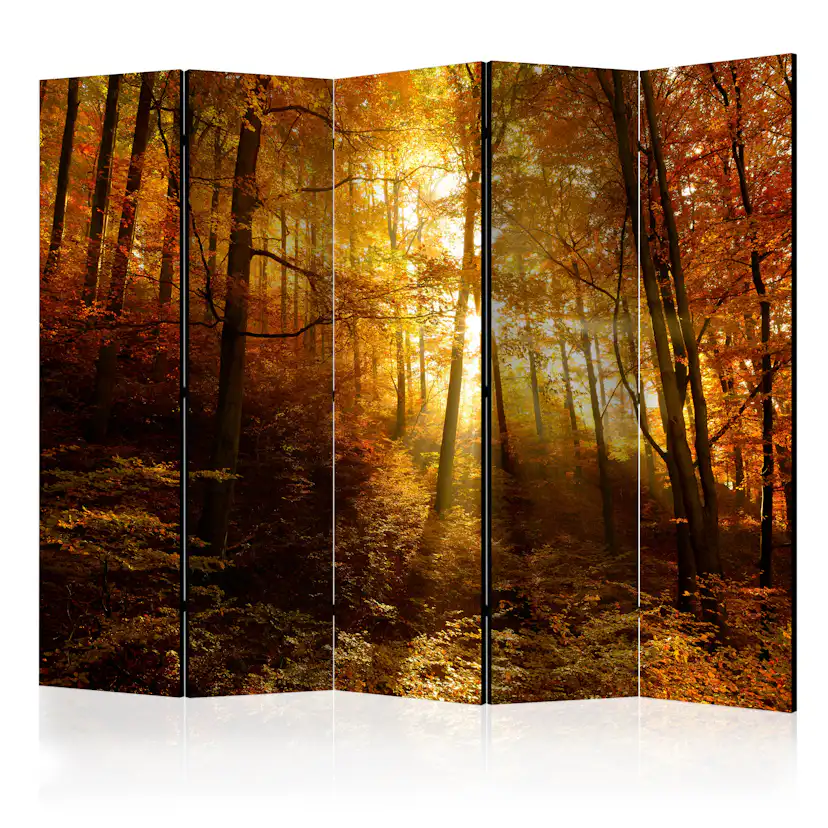 Rumsavdelare Arkiio Autumn Illumination II 225x172 cm