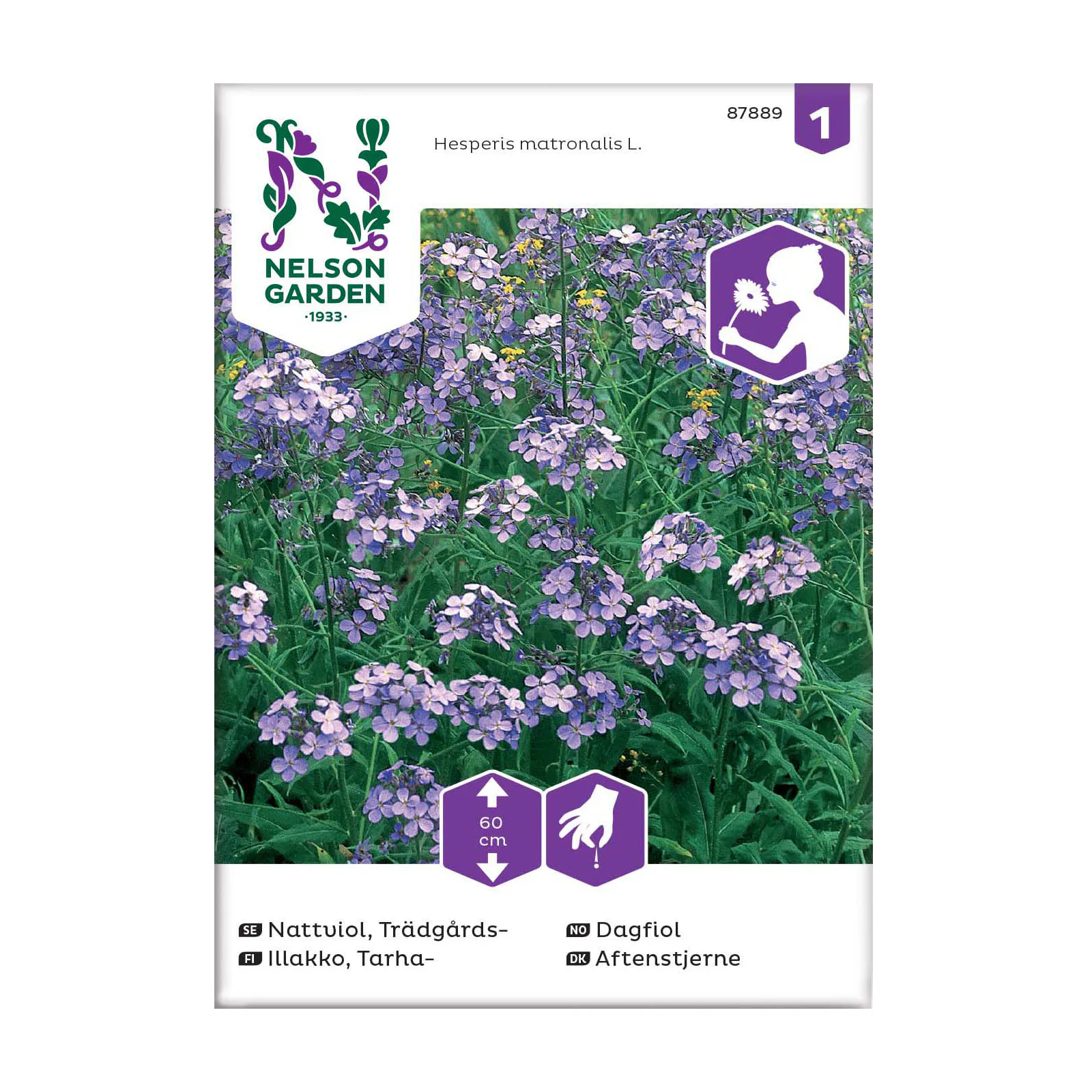 Frö Trädgårdsnattviol Nelson Garden violett