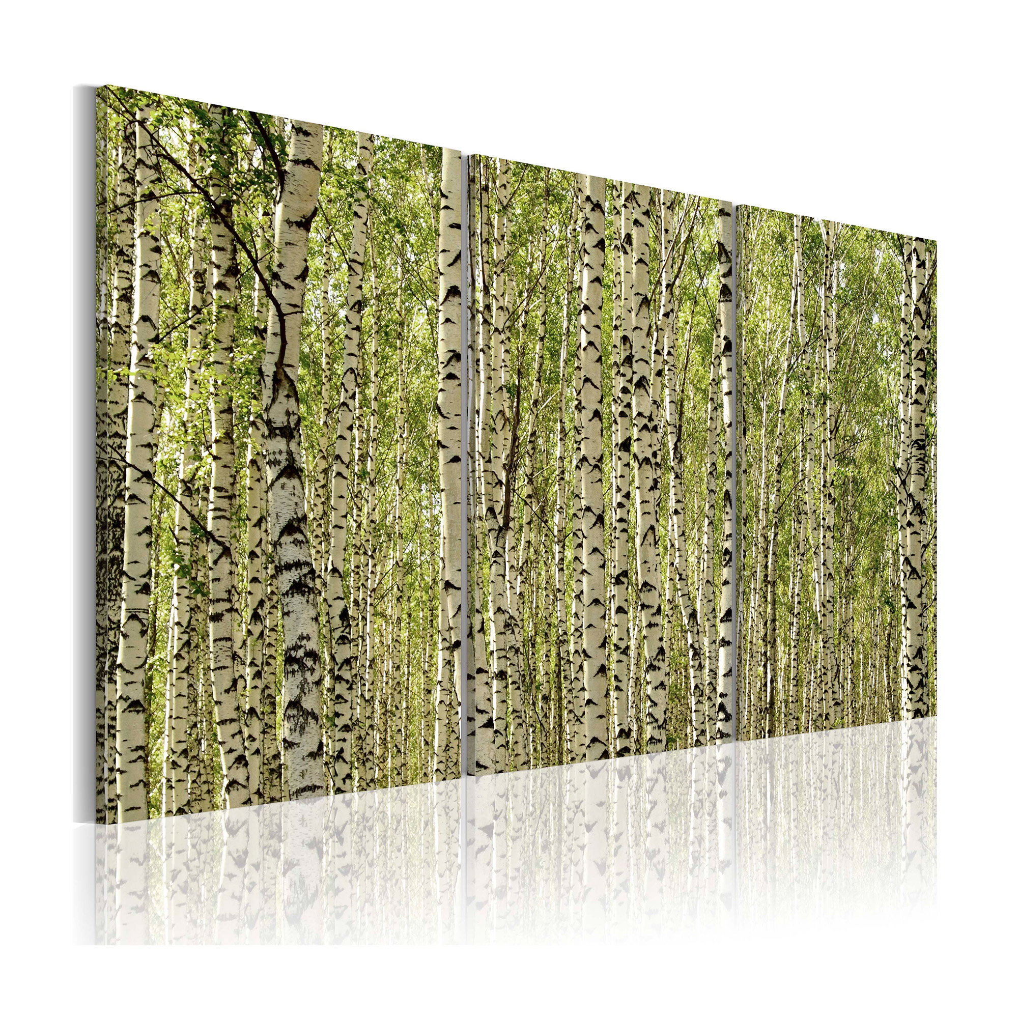 Tavla Arkiio A Forest Of Birch Trees