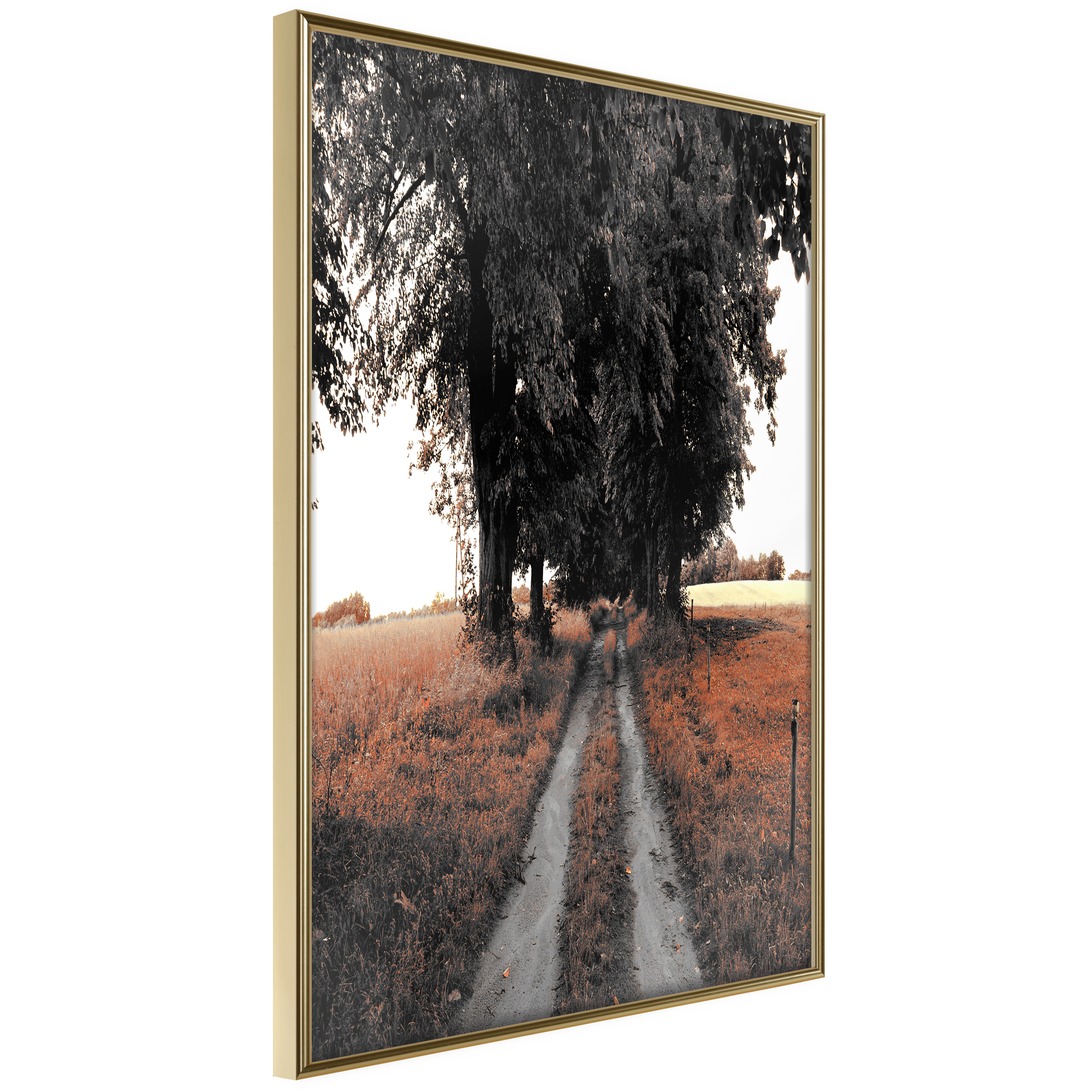 Poster Artgeist Affisch Road to the Forest