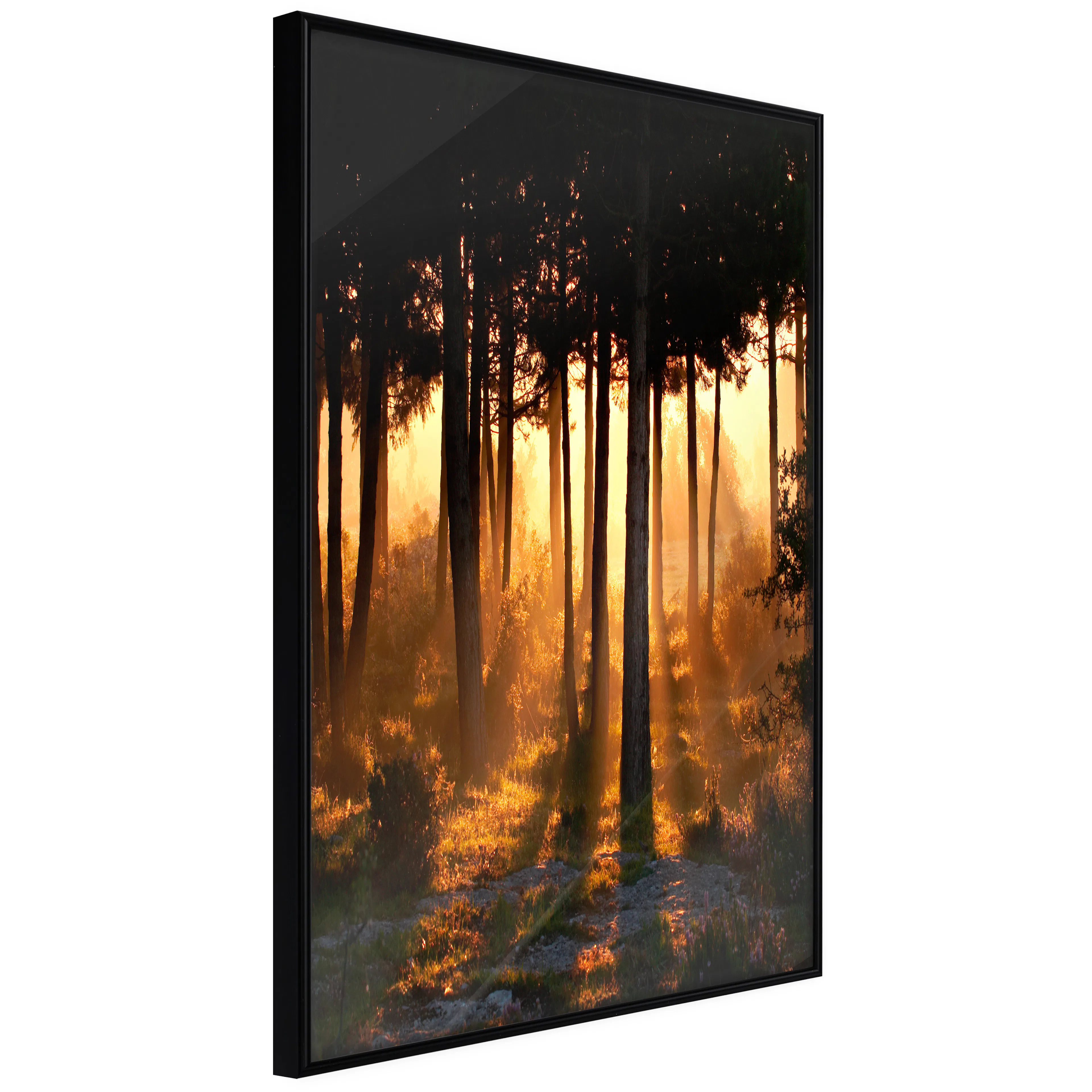 Affisch - Honey Forest [Poster] 40x60 Svart ram, 40x60 cm