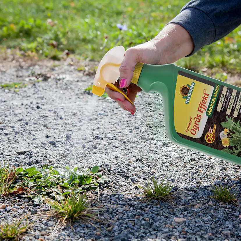 Ogräsbekämpning Neudorff Effekt 1L Spray