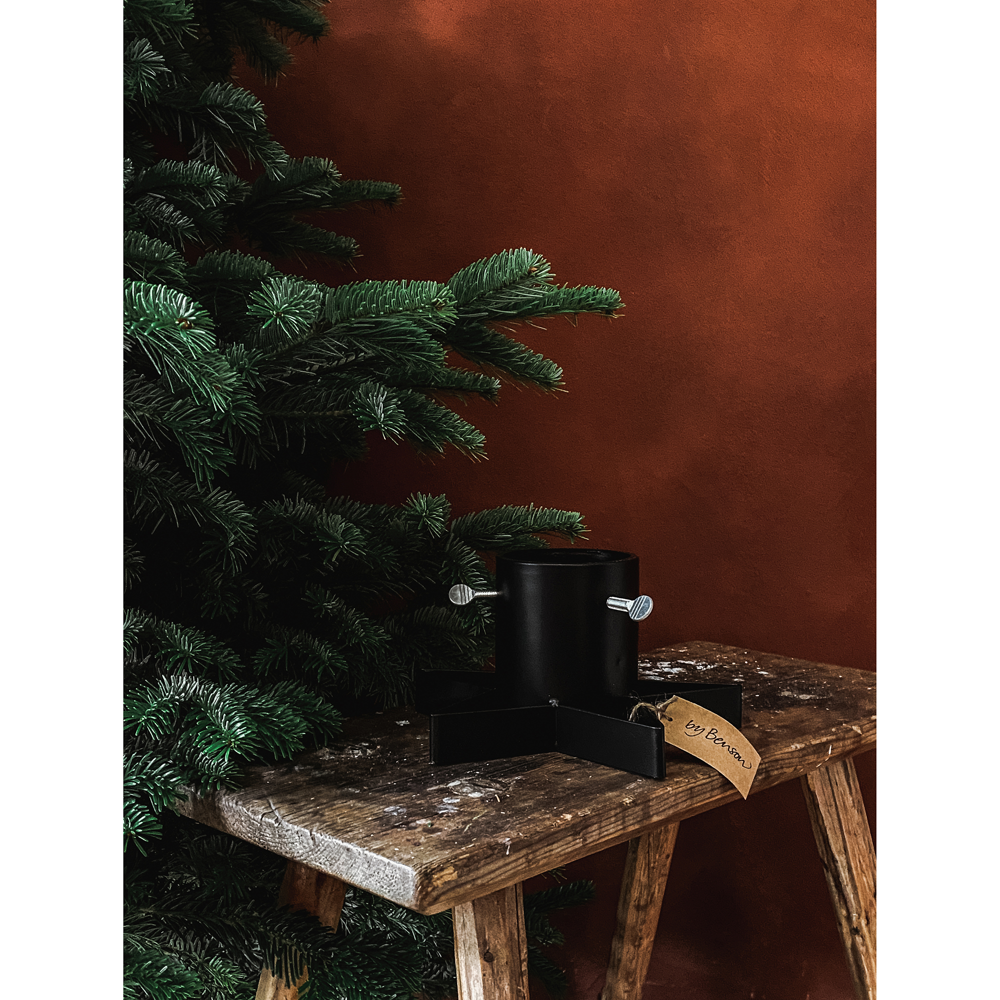 Julgransfot by Benson Stand Star